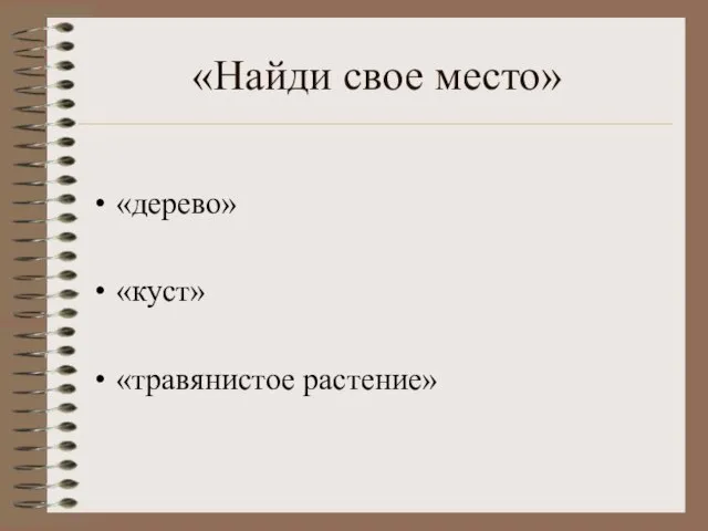 «Найди свое место» «дерево» «куст» «травянистое растение»