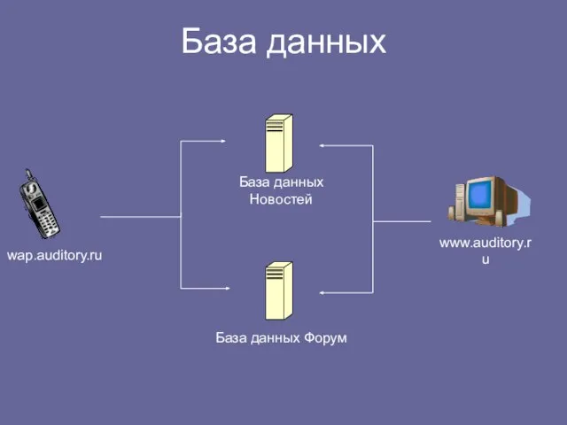 База данных wap.auditory.ru www.auditory.ru База данных Новостей База данных Форум