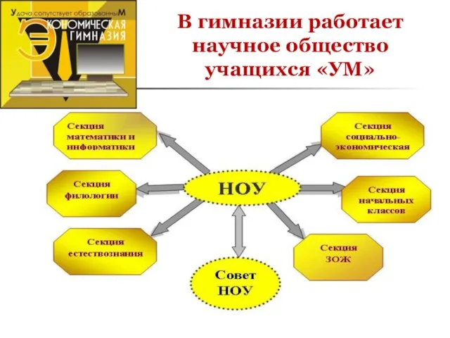 В гимназии работает научное общество учащихся «УМ»