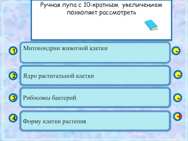 Митохондрии животной клетки 1 2 3 4 Ядро растительной клетки Рибосомы бактерий