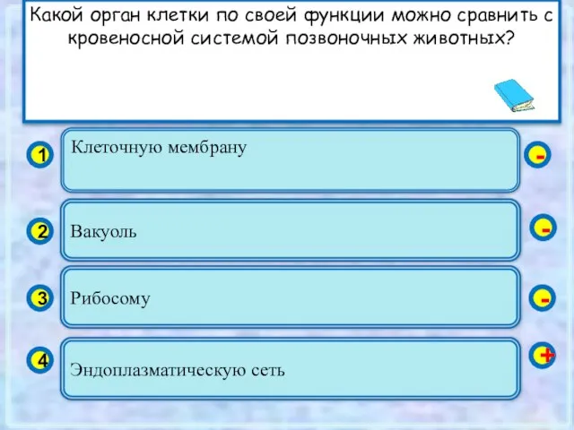 Клеточную мембрану 1 2 3 4 Вакуоль Рибосому Эндоплазматическую сеть - -