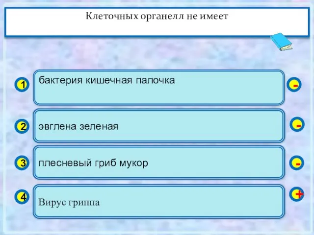 бактерия кишечная палочка 1 2 3 4 эвглена зеленая плесневый гриб мукор