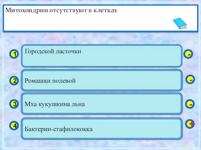 Городской ласточки 1 2 3 4 Ромашки полевой Мха кукушкина льна Бактерии-стафилококка