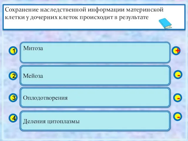 Митоза 1 2 3 4 Мейоза Оплодотворения Деления цитоплазмы + - -