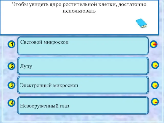 Световой микроскоп 1 2 3 4 Лупу Электронный микроскоп Невооруженный глаз +