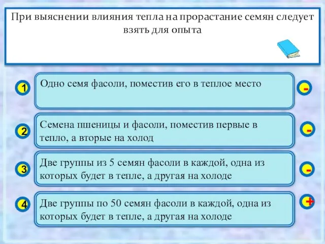 Одно семя фасоли, поместив его в теплое место 1 2 3 4