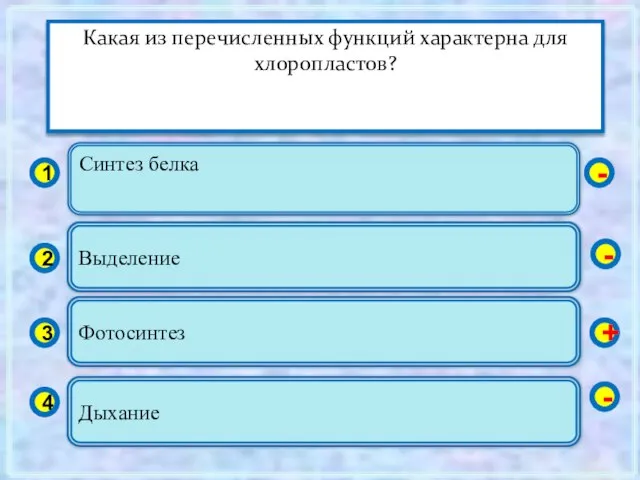 Синтез белка 1 2 3 4 Выделение Фотосинтез Дыхание - - +