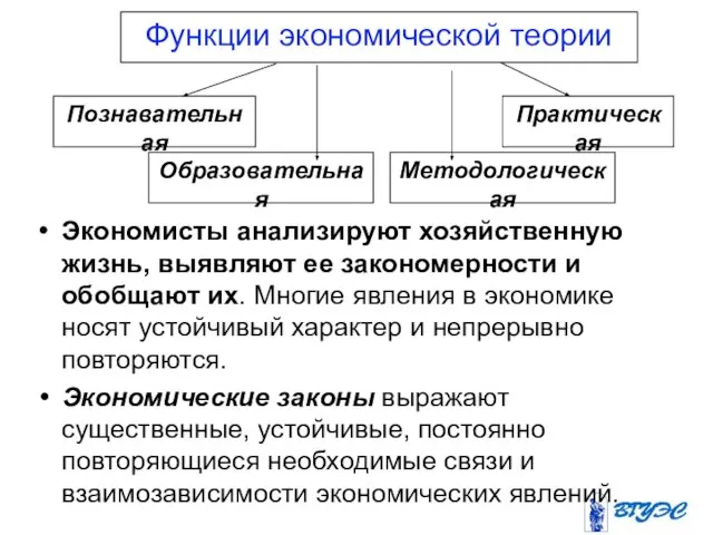 Экономисты анализируют хозяйственную жизнь, выявляют ее закономерности и обобщают их. Многие явления