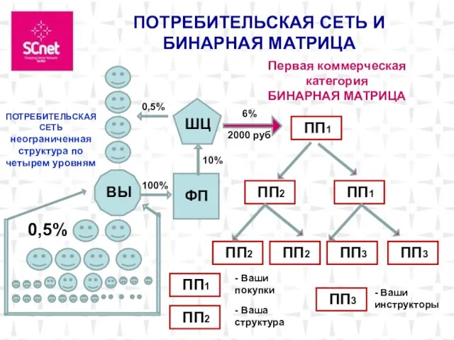 Москва . ВЫ ПОТРЕБИТЕЛЬСКАЯ СЕТЬ И БИНАРНАЯ МАТРИЦА ШЦ ФП 0,5% 0,5%