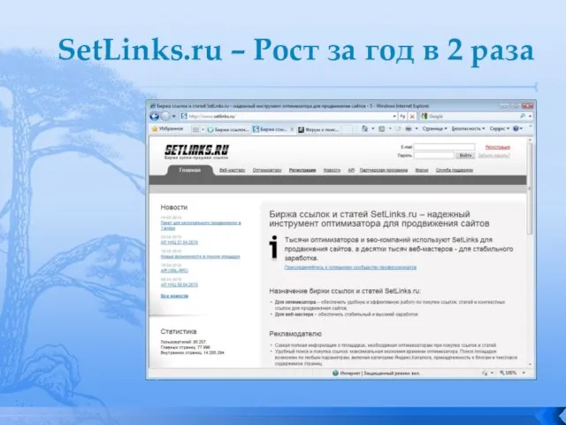 SetLinks.ru – Рост за год в 2 раза