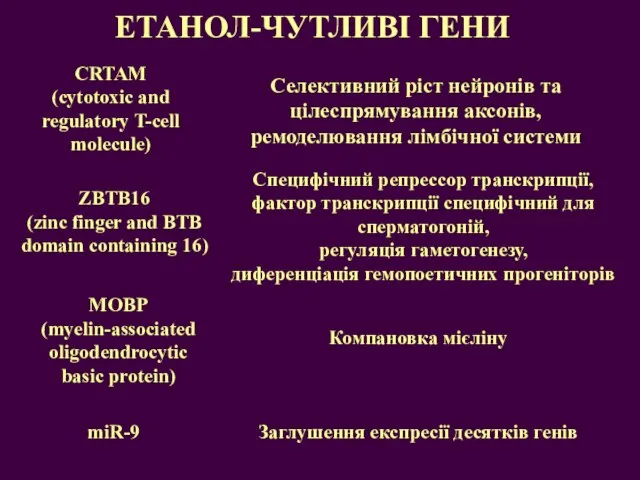 Селективний ріст нейронів та цілеспрямування аксонів, ремоделювання лімбічної системи ЕТАНОЛ-ЧУТЛИВІ ГЕНИ CRTAM