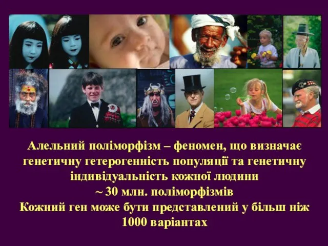 Алельний поліморфізм – феномен, що визначає генетичну гетерогенність популяції та генетичну індивідуальність