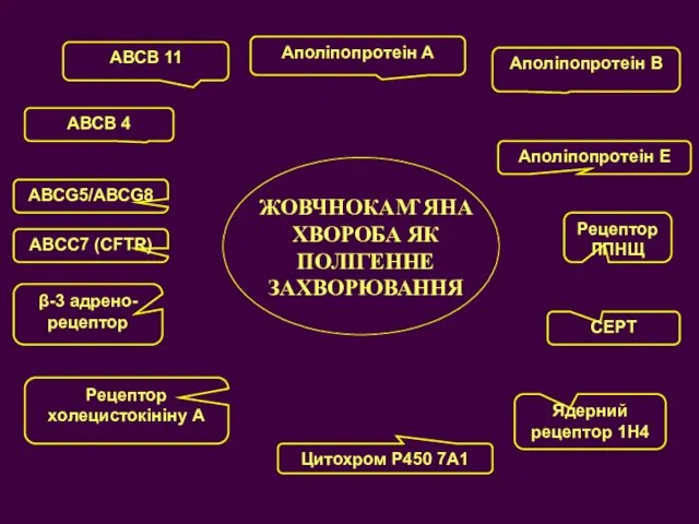 ЖОВЧНОКАМ`ЯНА ХВОРОБА ЯК ПОЛІГЕННЕ ЗАХВОРЮВАННЯ Aполіпопротеін А Aполіпопротеін В Aполіпопротеін Е Цитохром