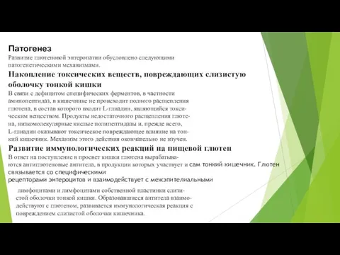 Патогенез Развитие глютеновой энтеропатии обусловлено следующими патогенетическими механизмами. Накопление токсических веществ, повреждающих