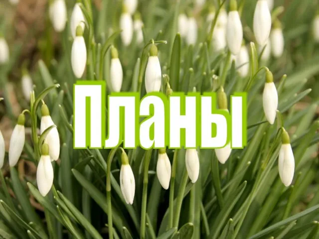 Планы