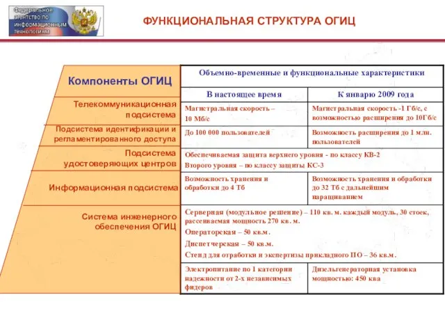 ФУНКЦИОНАЛЬНАЯ СТРУКТУРА ОГИЦ