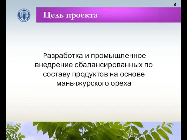 Цель проекта Pазработка и промышленное внедрение сбалансированных по составу продуктов на основе маньчжурского ореха 3