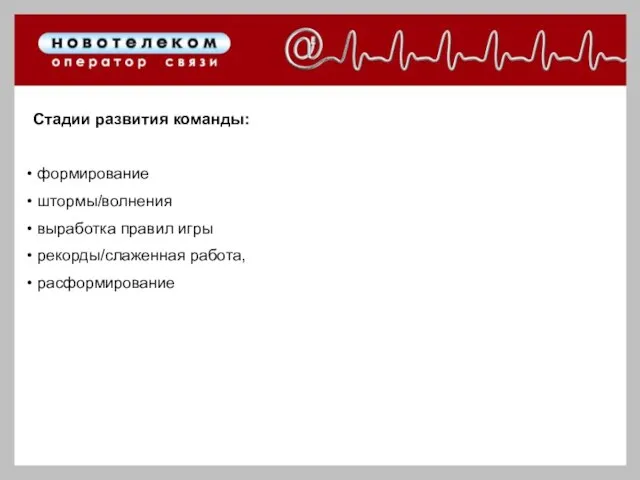 Стадии развития команды: формирование штормы/волнения выработка правил игры рекорды/слаженная работа, расформирование Стадии