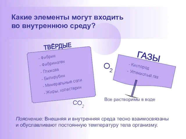 Какие элементы могут входить во внутреннюю среду? Все растворимы в воде Пояснение: