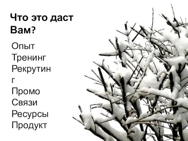 Что это даст Вам? Опыт Тренинг Рекрутинг Промо Связи Ресурсы Продукт