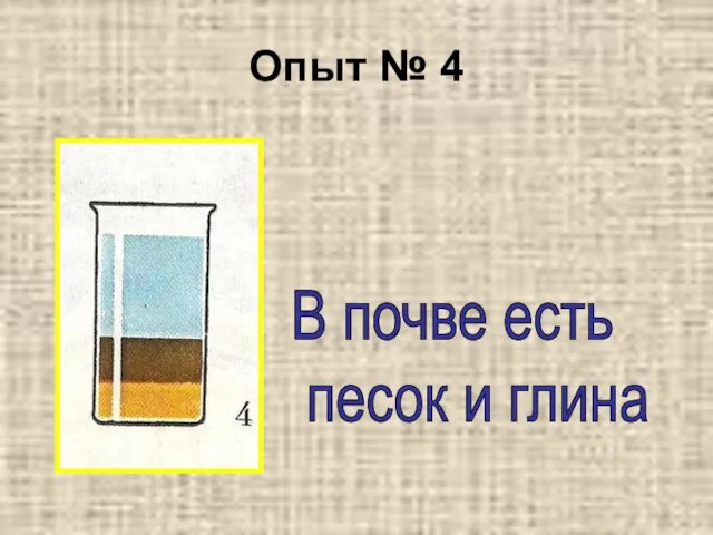 Опыт № 4 В почве есть песок и глина