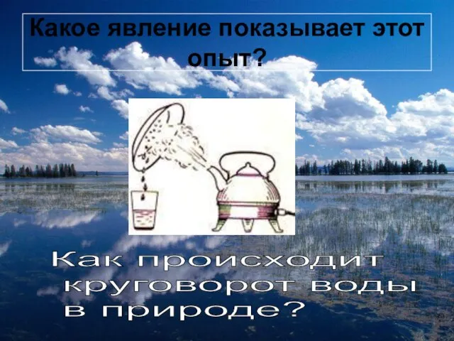 Какое явление показывает этот опыт? Как происходит круговорот воды в природе?