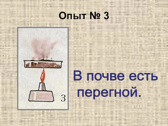 Опыт № 3 В почве есть перегной.