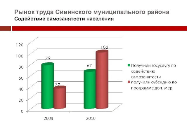 Рынок труда Сивинского муниципального района Содействие самозанятости населения