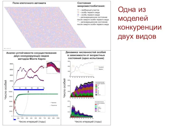 Одна из моделей конкуренции двух видов