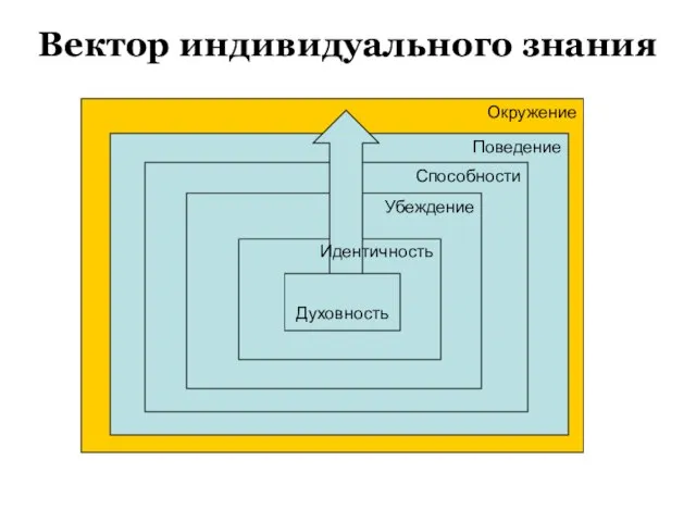 Окружение Поведение Способности Вектор индивидуального знания Убеждение Духовность Идентичность