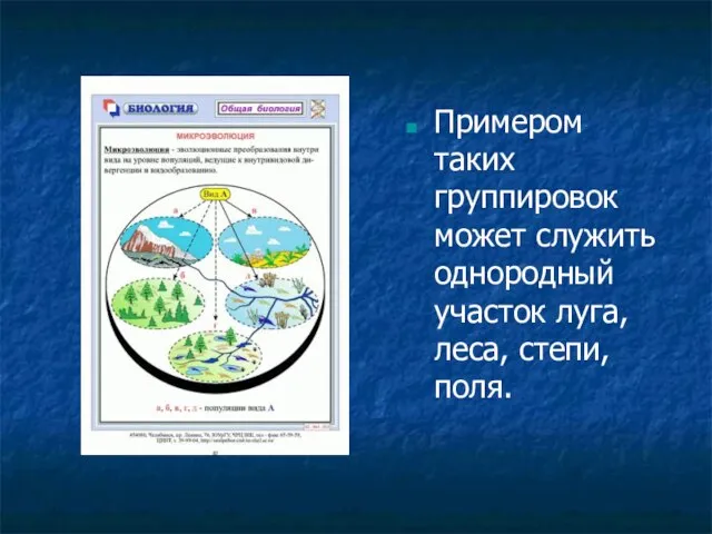 Примером таких группировок может служить однородный участок луга, леса, степи, поля.