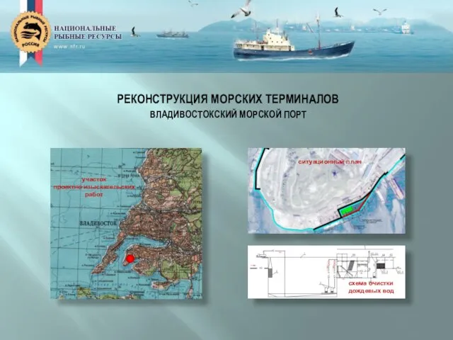 РЕКОНСТРУКЦИЯ МОРСКИХ ТЕРМИНАЛОВ ВЛАДИВОСТОКСКИЙ МОРСКОЙ ПОРТ участок проектно-изыскательских работ ситуационный план схема очистки дождевых вод