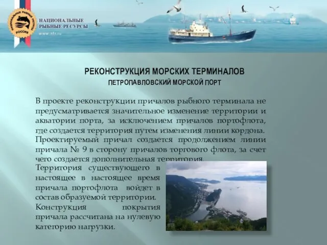 РЕКОНСТРУКЦИЯ МОРСКИХ ТЕРМИНАЛОВ ПЕТРОПАВЛОВСКИЙ МОРСКОЙ ПОРТ В проекте реконструкции причалов рыбного терминала