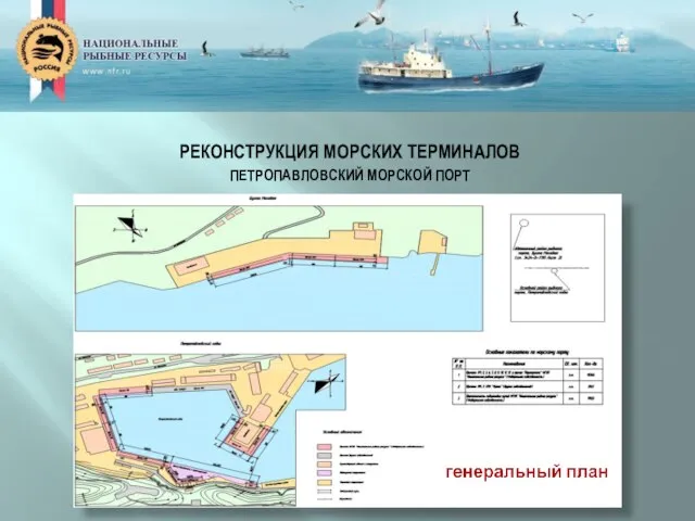 РЕКОНСТРУКЦИЯ МОРСКИХ ТЕРМИНАЛОВ ПЕТРОПАВЛОВСКИЙ МОРСКОЙ ПОРТ