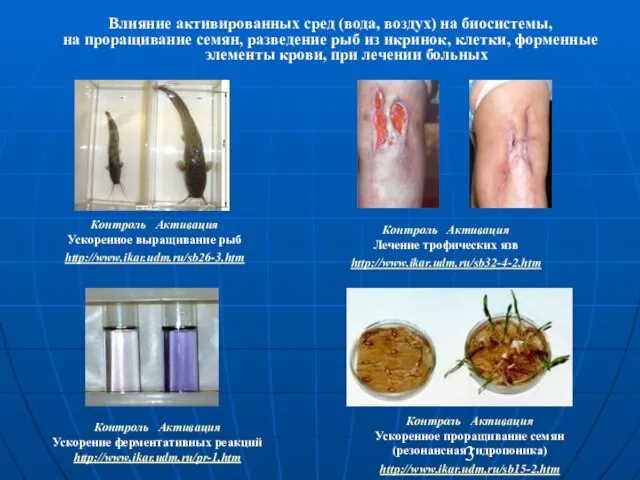 Влияние активированных сред (вода, воздух) на биосистемы, на проращивание семян, разведение рыб