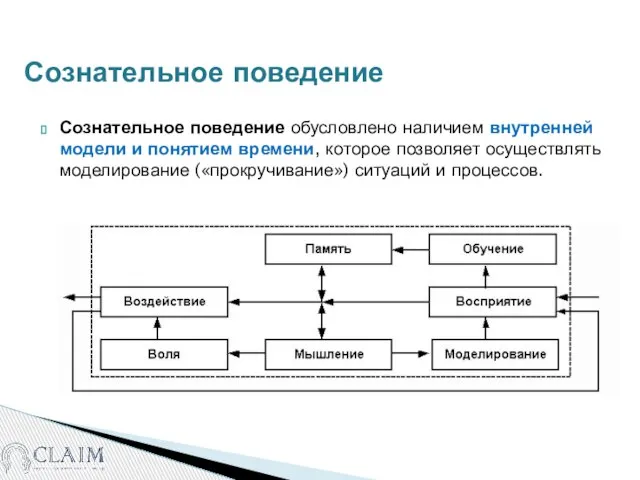 Сознательное поведение Сознательное поведение обусловлено наличием внутренней модели и понятием времени, которое