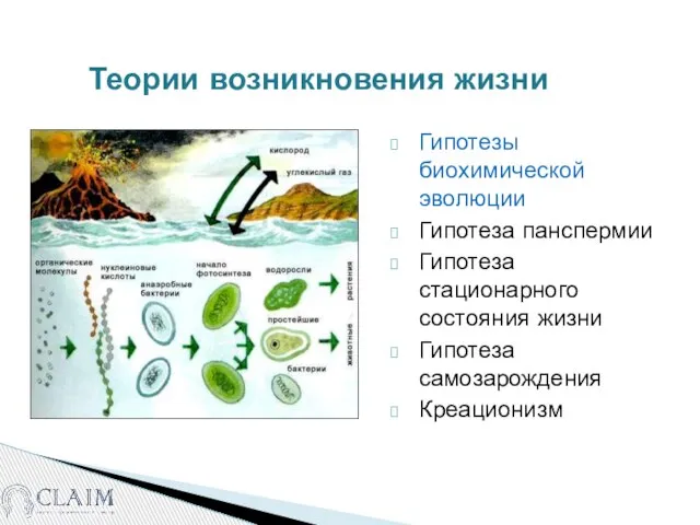 Теории возникновения жизни Гипотезы биохимической эволюции Гипотеза панспермии Гипотеза стационарного состояния жизни Гипотеза самозарождения Креационизм