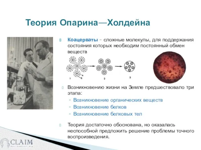 Теория Опарина—Холдейна Коацерваты – сложные молекулы, для поддержания состояния которых необходим постоянный