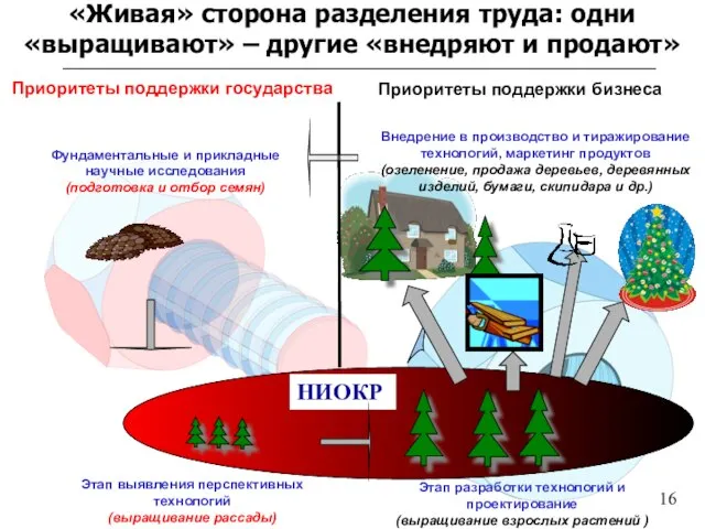 «Живая» сторона разделения труда: одни «выращивают» – другие «внедряют и продают» Фундаментальные