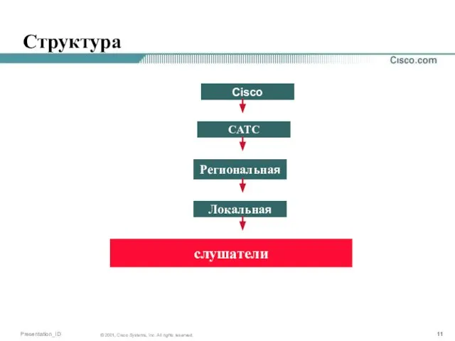 Структура Cisco CATC Региональная Локальная слушатели