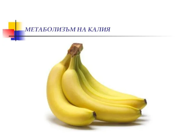 МЕТАБОЛИЗЪМ НА КАЛИЯ