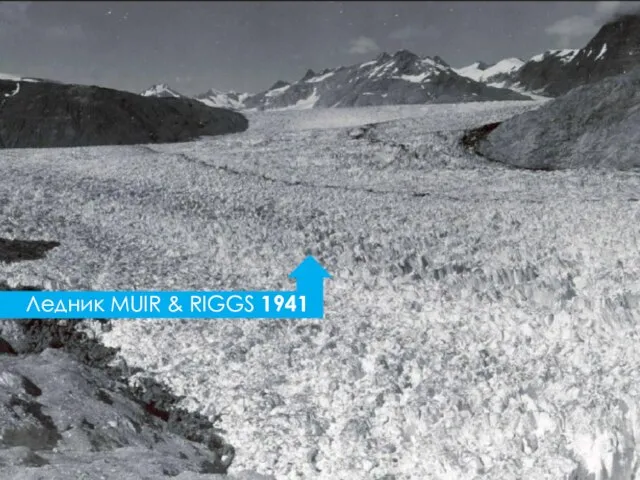 Ледник MUIR & RIGGS 1941