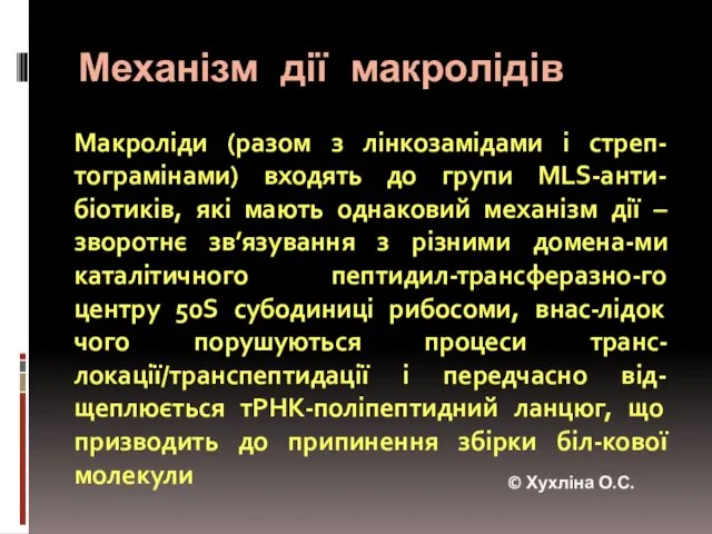 Механізм дії макролідів Макроліди (разом з лінкозамідами і стреп-тограмінами) входять до групи