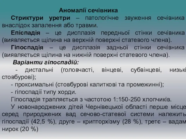 Аномалії сечівника Стриктури уретри – патологічне звуження сечівника внаслідок запалення або травми.