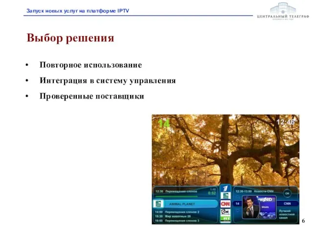 Выбор решения Повторное использование Интеграция в систему управления Проверенные поставщики Запуск новых услуг на платформе IPTV