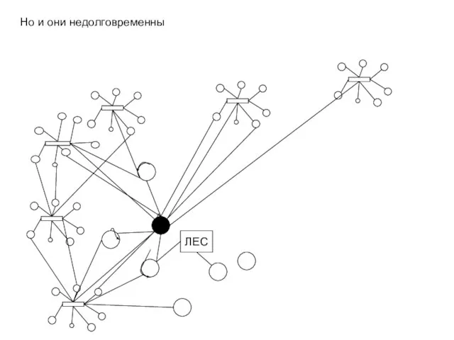 Но и они недолговременны ЛЕС