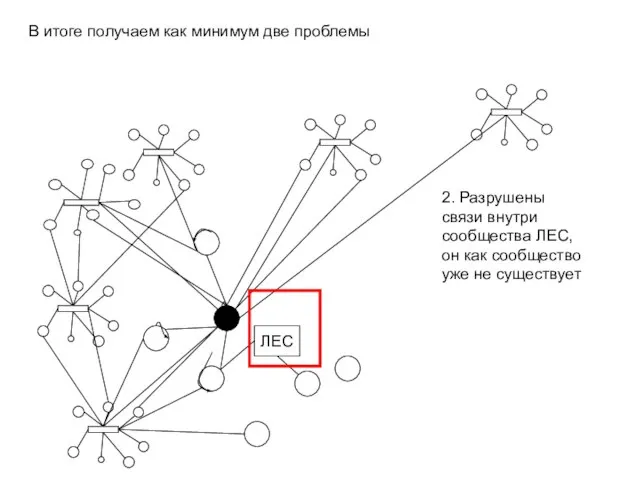 В итоге получаем как минимум две проблемы ЛЕС 2. Разрушены связи внутри