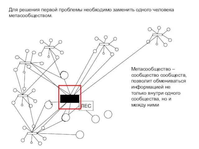 Для решения первой проблемы необходимо заменить одного человека метасообществом. ЛЕС Метасообщество –