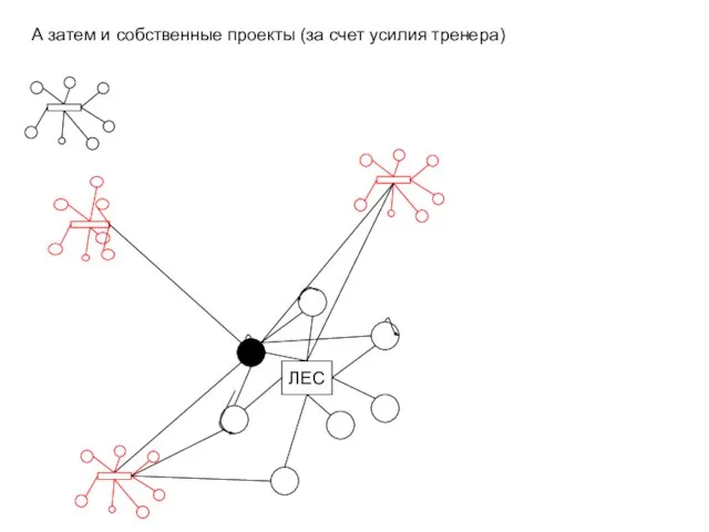 ЛЕС А затем и собственные проекты (за счет усилия тренера)