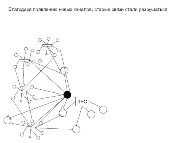 ЛЕС Благодаря появлению новых каналов, старые связи стали разрушаться